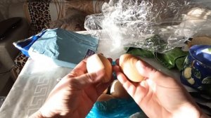 В АККУРАТ К РОЖДЕСТВУ??МУЛЯЖИ КУРОЧКАМ А НАМ НАСТОЯЩИЕ?  КТО ЗДЕСЬ?