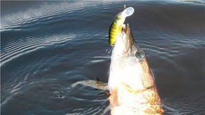 Наши щучьи воблера до 10 см. Часть 2.mp4