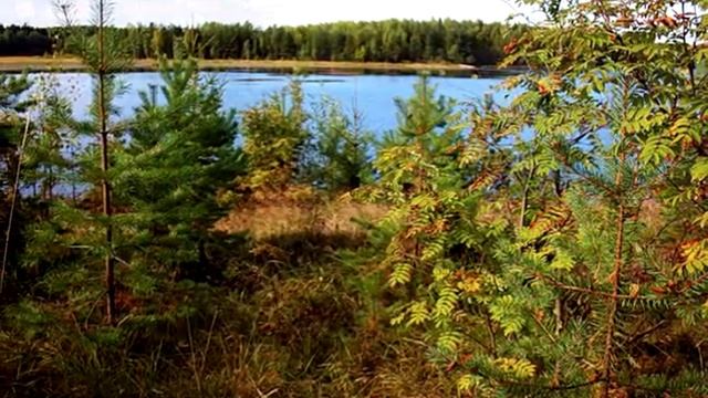 Карелия 2010 г. ( Никого не пощадила эта осень) смотреть онлайн