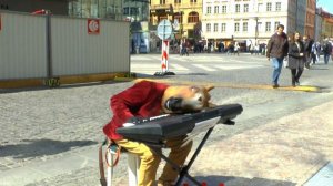 Шербургские зонтики.Мишель Легран.уличная музыка