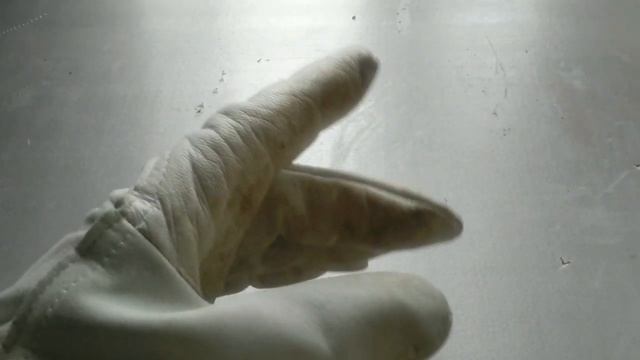 Заговор против клеща Мориарти смотреть онлайн