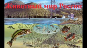 Наземная и пресноводная фауна
