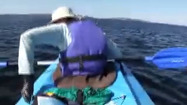 На байдарке с воздушным змеем смотреть онлайн