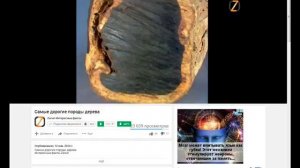 Самое твердое дерево Выбрать мебель Ярра Мутения,берёза Шмидта