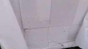 Завезли газоблок. Обзор качества газоблока в Краснодарском крае