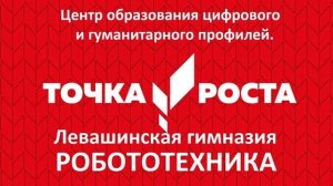 ЦО Точка роста Левашинский район, МКОУ Левашинская гимназия