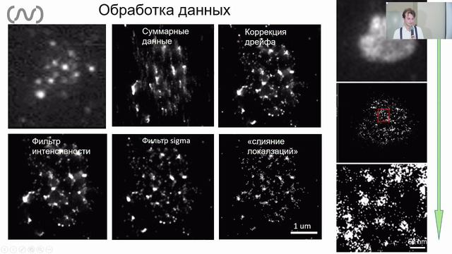 Микроскопия сверхвысокого разрешения и ее применение в нейробиологии