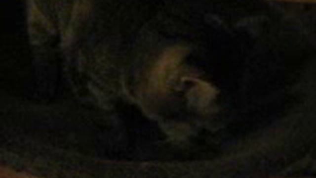 крутиться-вертится... смотреть онлайн