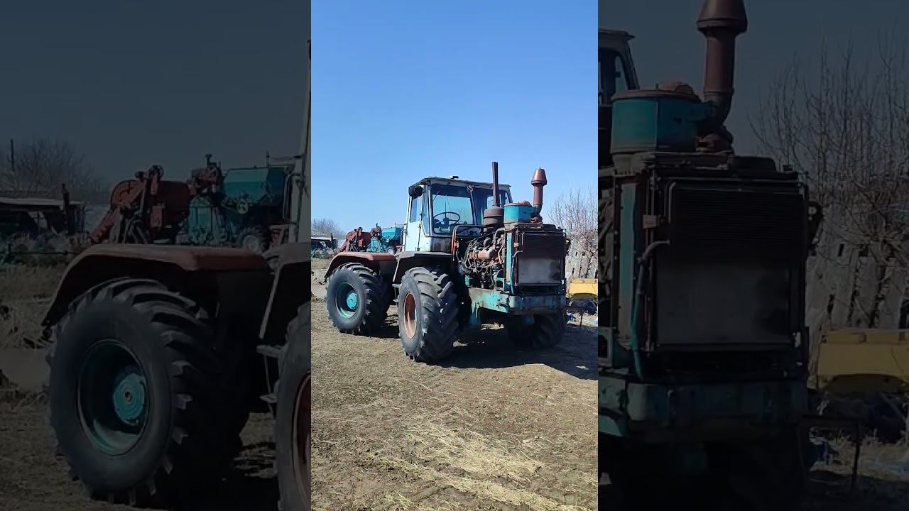 разбудили тестика... смотреть онлайн