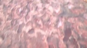 СТРАШНАЯ ПРАВДА КОЯШСКОГО РОЗОВОГО ОЗЕРА В КРЫМУ