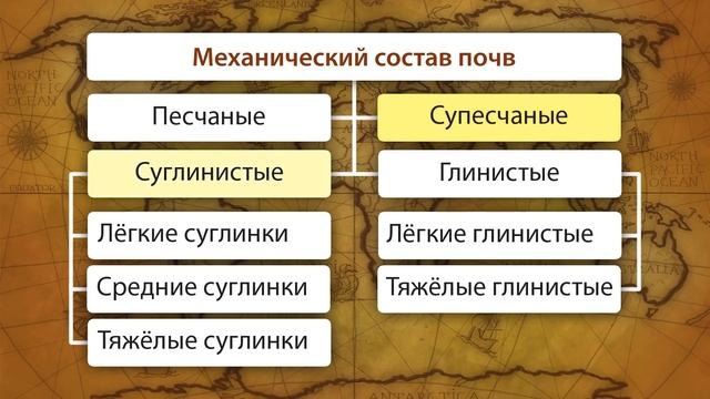 Почвы и факторы их образования. Видеоурок по географии 8 класс