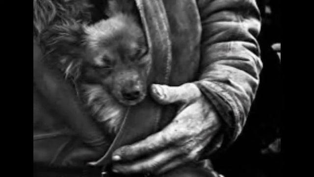 My Slideshow Хочется жить. Автор: А. Крупп, исп.: Т.Рехельс смотреть онлайн