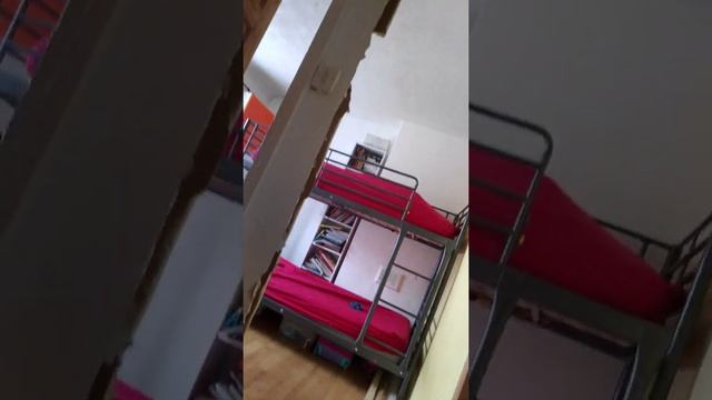 Пудинг, Что За Зверь?! смотреть онлайн