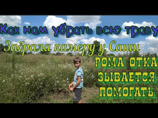 КАК ПРОХОДИТ МОЙ ДЕНЬ /ЭКСКУРСИЯ ПО ОГОРОДУ/ОБЗОР БЛЕНДЕРА.