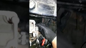 Timing Belt - Fiat Punto 1.2 8V - 4/6