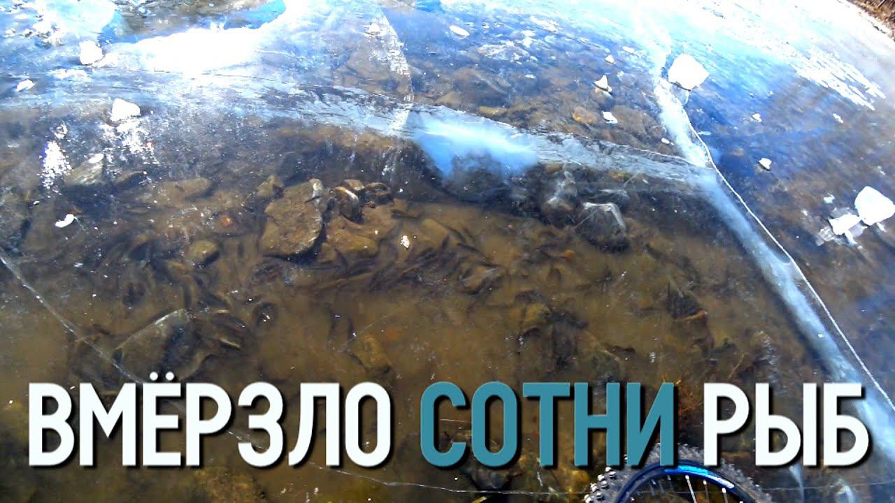 Пока снега не навалило