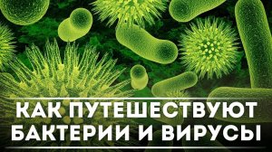Вокруг света за пару дней - Как перемещаются бактерии и вирусы? | DeeaFilm