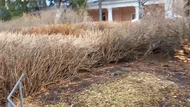 Гулятельное по Дендрарию