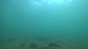 Пляж Голубая бухта. Дом отдыха Туапсе. Море, цены, развлечения. Честный обзор (Папа Может)