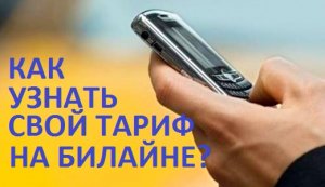 Как  узнать тариф и подключенные услуги билайн.