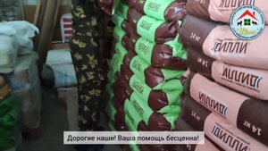 В приюте заканчивается корм 😞