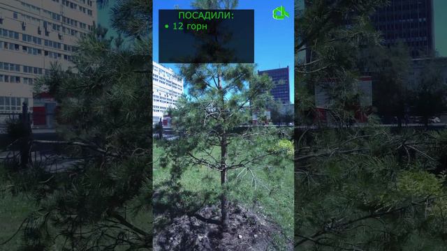 БЛАГОУСТРОЙСТВО ТЕРРИТОРИИ ОКОЛО МНОГОКВАРТИРНОГО ДОМА #жкх #благоустройствотерритории #дом