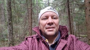 Лес Дивенская