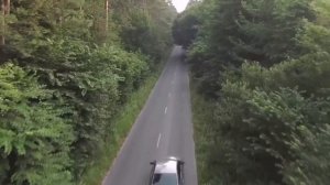 Самые опасные животные. Часть первая