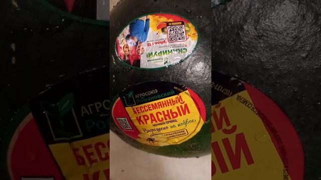 Арбуз"Черный приц".Красный бессемянный.