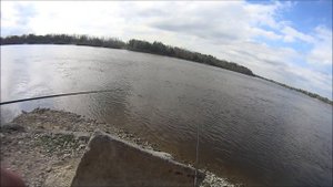 Ловля голавля на поплавочную удочку