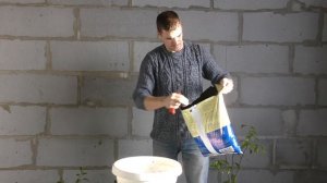 Спасаем лимон от гибели Лимон скидывает листья  Семья Булатовых