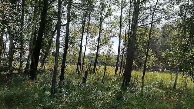 Делюсь красотой природы ! смотреть онлайн