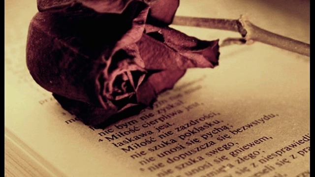 Korni - Vika смотреть онлайн