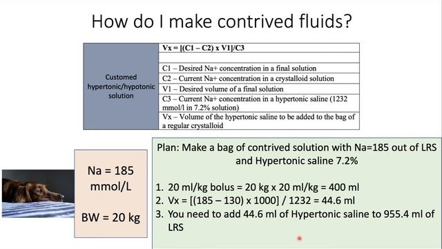 3 Steps to Treat Hypernatremia in Dogs and Cats смотреть онлайн