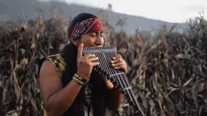 Billie Eilish - Bad Guy - Cover (Quena Zampoña) - Andean Music - Instrumental Flute Music of Ecuado