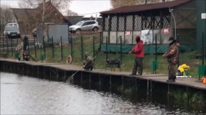 Рыбалка на первом секторе! Клёвое место д.Савельево.