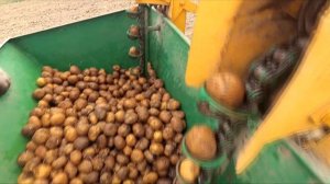 Самодельная картофелесажалка. Посадка картофеля. Новый сезон.