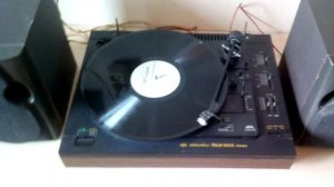 ARIA 5303