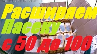 Увеличиваем пасеку.От 50 до 100. Отводки пчёл _золотой_ запас пасеки.