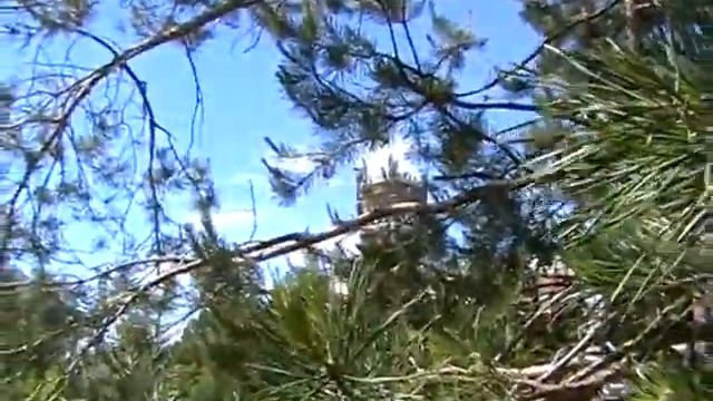 прогулка по юрино 2008г смотреть онлайн