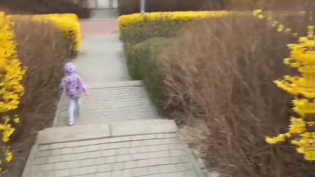 Капризы природы в апреле