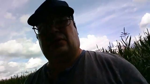 Моя долгожданная покупка!!! смотреть онлайн