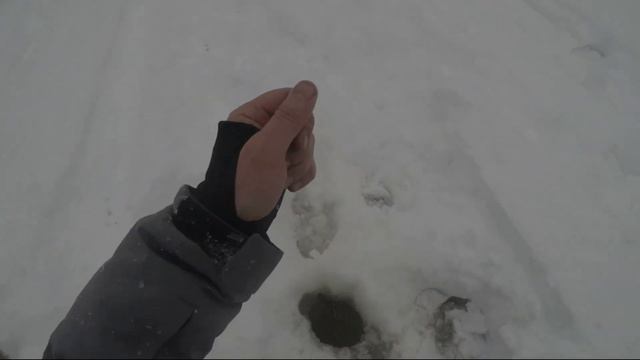 Хариус весной на лесной речке смотреть онлайн