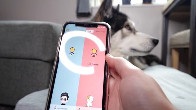 A Phone App Translates My Husky Speaking! Testing Dog Translators! смотреть онлайн
