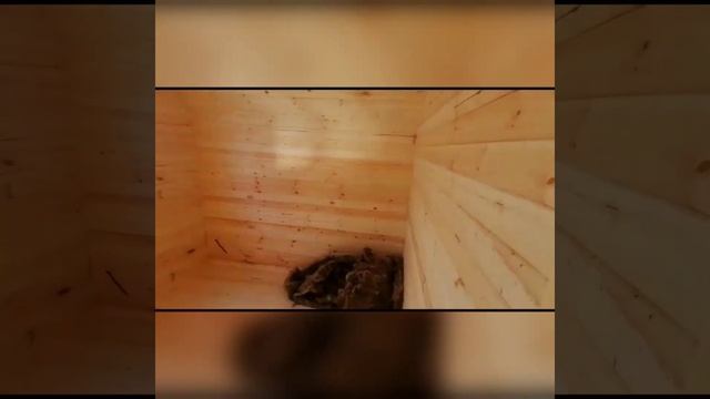 Видеообзор дачного каркасного дома 6000х6000мм с террасой 2000х6000мм смотреть онлайн