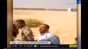 Исламисты в Ираке казнили около 500 жителей Рамади