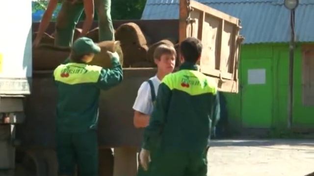 Мастер-класс по укладке рулонного газона смотреть онлайн