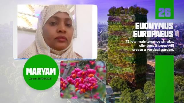 26 Euonymus Europaeus MARYAM смотреть онлайн