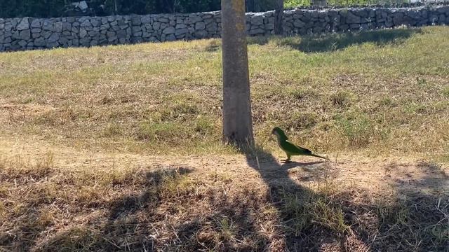 VLOG Катя купила вещь 1931 года. У меня снова перестановка смотреть онлайн