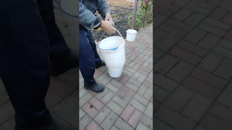 АСЯ ПОМЕНЯЛА ВЁДРА.